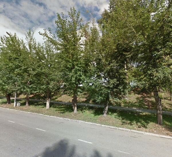 Банкомат банка Траст по адресу ул. Крисанова, д. 17, оф. банка